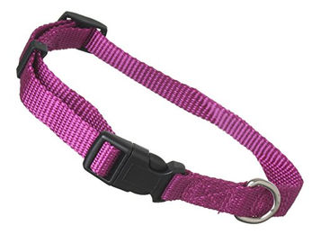 scarlet pet Hundehalsband Universal mit Klickverschluss – Bild 1 von 5
