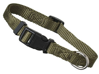 scarlet pet Hundehalsband Universal mit Klickverschluss – Bild 1 von 5