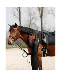 Schabracke Lissabon – Bild 1 von 4