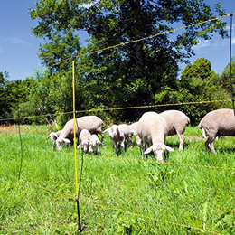 Produktbild von Schafnetz Kerbl EasyNet