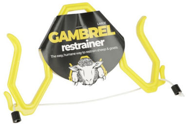 Schafskrallen Kerbl – Bild 1 von 3