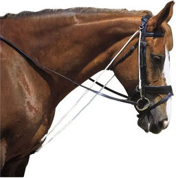 Produktbild von Schambein für Pferd Norton Club