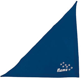 Schecker Blau Besticktes Halstuch mit Pfoten und Hundename - 35 cm – Bild 1 von 4