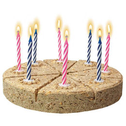 Schecker Hunde-Festtagstorte - 740 g – Bild 1 von 4