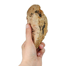 Produktbild von Schecker Kauwurzeln Gr. S Kauspielzeug für Hunde - 125 g