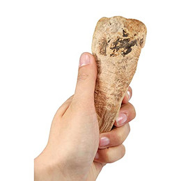 Produktbild von Schecker Kauwurzeln XS Kauspielzeug für Hunde - 60 g