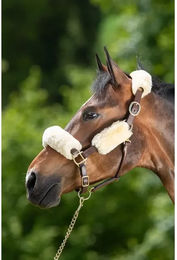 Produktbild von Scheide für Halfter HFI