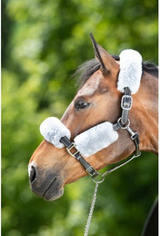 Produktbild von Scheide für Halfter HFI