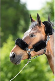 Produktbild von Scheide für Halfter HFI