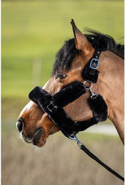 Produktbild von Scheide für Halfter Schaf Synthetik HFI Cosy
