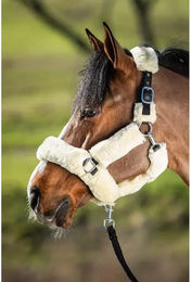 Produktbild von Scheide für Halfter Schaf Synthetik HFI Cosy