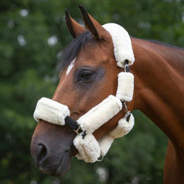 Produktbild von Scheide für Pferd Equithème Teddy