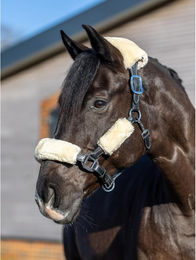Produktbild von Scheide für Reithalfter Pferd LeMieux