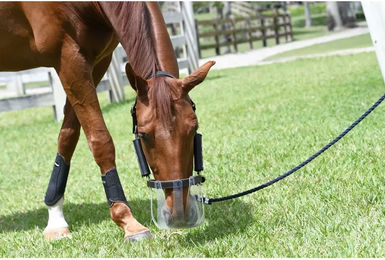 Schelle ThinLine – Bild 1 von 2