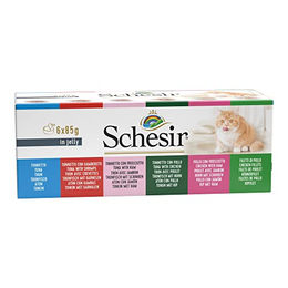 Produktbild von Schesir in Gelee Mixpaket für Katzen - 6 x 85 g