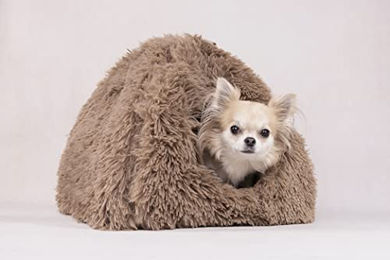 Schlafplatz Krems Iglu Taupe – Bild 1 von 3