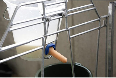 Produktbild von Schnullerhalter Kerbl FixClip