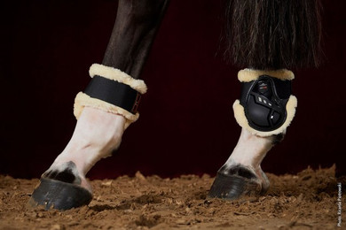 Produktbild von Schockemöhle Air Flow Champion Fetlock Boots Fur Streichkappen