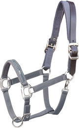 Schockemöhle Halfter SP Memphis Breakaway – Bild 1 von 6