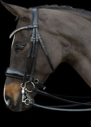 Produktbild von Schockemöhle Sports Kandare Milazzo - black/patent/grey - VB