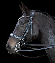 Schockemöhle Sports Kandarenzaum Kandare EQUITUS Gamma Vollblut – Bild 1 von 2