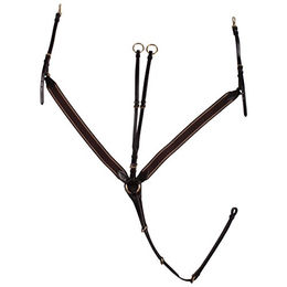 Schockemöhle Vorderzeug SP Pro Jump Plus – Bild 1 von 2