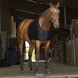 Produktbild von Schulterschutz für Pferde Equithème