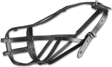 Produktbild von Schwarzer vernieteter Maulkorb aus Leder für American Staffordshire Terrier