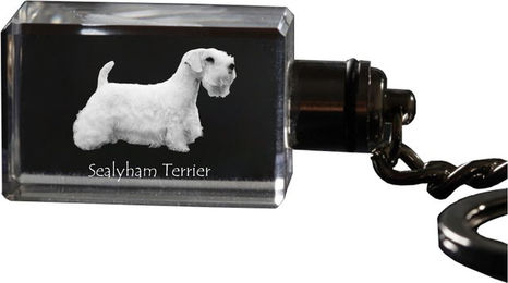 Produktbild von Sealyham Terrier, Welsh Border Terrier, Cowley Terrier - Crystal key ring with dog photo, illuminated key ring, unique gift by Art-Dog brand transparent