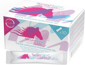 Secure Horse Flash - 10 Sticks – Bild 1 von 5