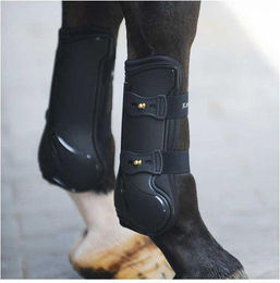 Sehnenschoner für Pferde Kavalkade Compete – Bild 1 von 5