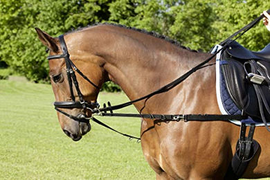 Produktbild von Seitliche Pferdezügel aus Nylon USG