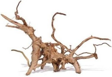 Produktbild von Seltene rote Traube M Aquavie