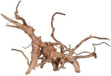 Produktbild von Seltene rote Traube XL Aquavie