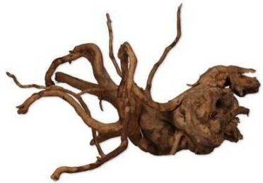 Produktbild von Seltene rote Traube XS Aquavie