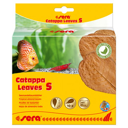 Produktbild von sera Catappa Leaves S 10-15 cm Seemandelbaumblätter