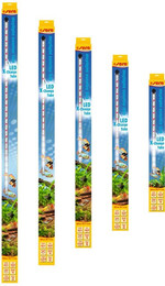 Produktbild von sera LED X-Change Tube daylight sunrise 820mm 15,6W
