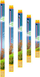 Produktbild von sera LED X-Change Tube plantcolor sunrise 1120mm 13,8W