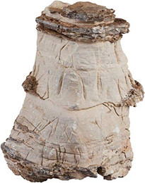 Produktbild von sera Rock Asian Pagoda XXL - 6 kg