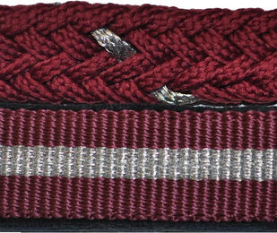 Produktbild von Set aus Halfter + Longiergurt aus Lurex Canter