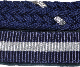 Produktbild von Set aus Halfter + Longiergurt aus Lurex Canter