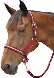 Produktbild von Set aus Halfter + Longiergurt aus Lurex Canter