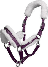 Produktbild von Set aus Halfter und Longiergurt für Pferde Equestrian Stockholm