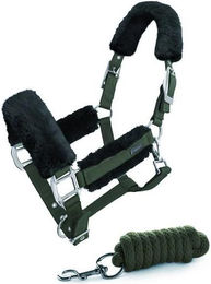 Produktbild von Set aus Halfter und Longiergurt für Pferde Equestrian Stockholm