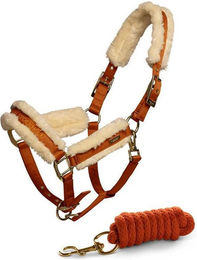 Produktbild von Set aus Halfter und Longiergurt für Pferde Equestrian Stockholm