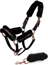 Produktbild von Set aus Halfter und Longiergurt für Pferde Equestrian Stockholm