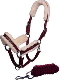 Produktbild von Set aus Halfter und Longiergurt für Pferde Equestrian Stockholm