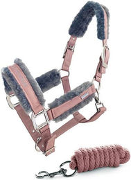 Produktbild von Set aus Halfter und Longiergurt für Pferde Equestrian Stockholm