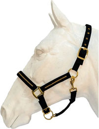 Produktbild von Set aus Halfter und Longiergurt für Pferde Flags&Cup Nossy