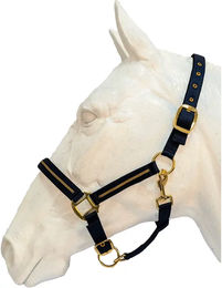 Produktbild von Set aus Halfter und Longiergurt für Pferde Flags&Cup Nossy
